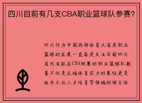 四川目前有几支CBA职业篮球队参赛？