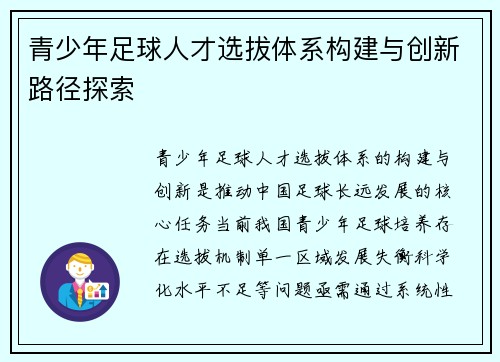 青少年足球人才选拔体系构建与创新路径探索